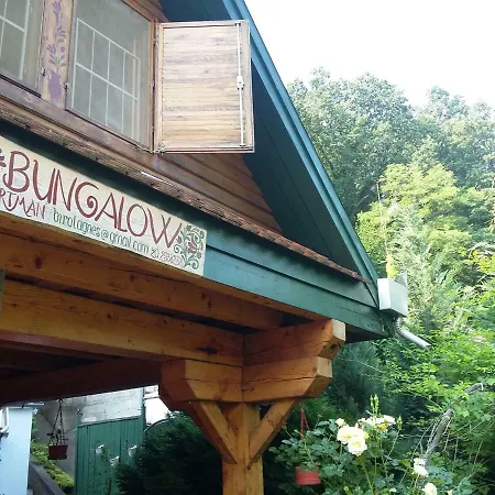 Bungalow A Szepasszonyvolgy Kozepen *